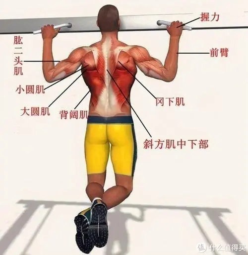 中学生网球拍用几号柄